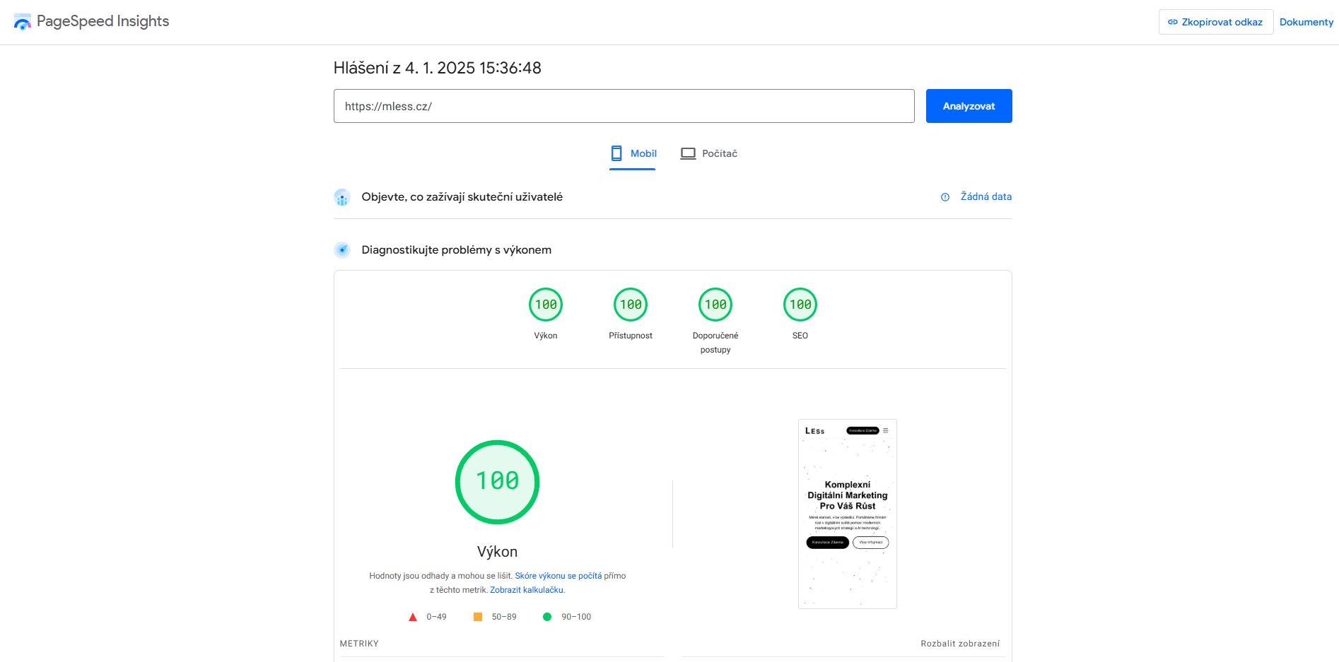 Perfect PageSpeed Insights Score 100/100